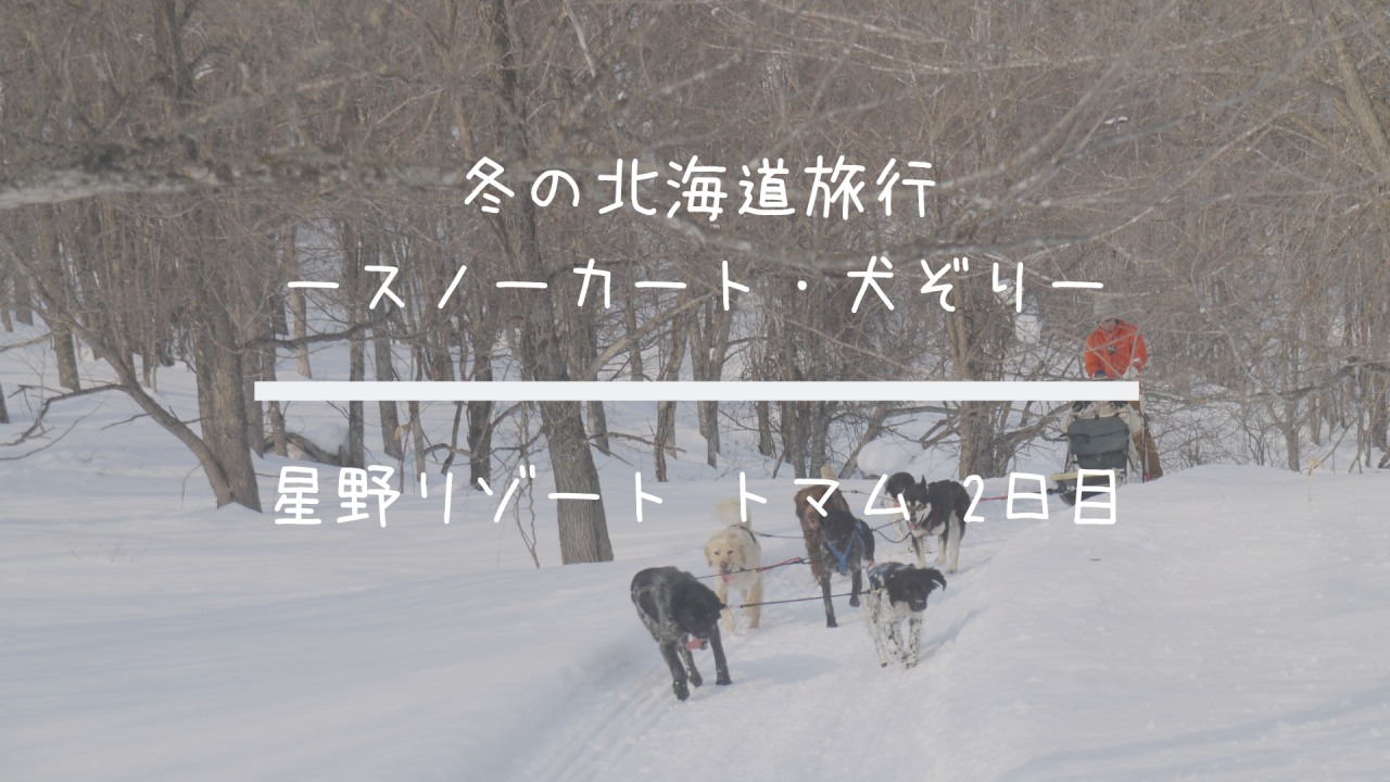 星野リゾートトマム 冬 トマムスノーカートと犬ぞりを楽しむ 2日目 共働きくま夫婦のブログ