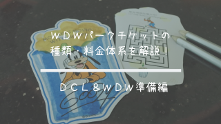 Dcl Wdw 番外編 7泊9日旅行の費用大公開 クルーズとパークでいくら必要 共働きくま夫婦のブログ