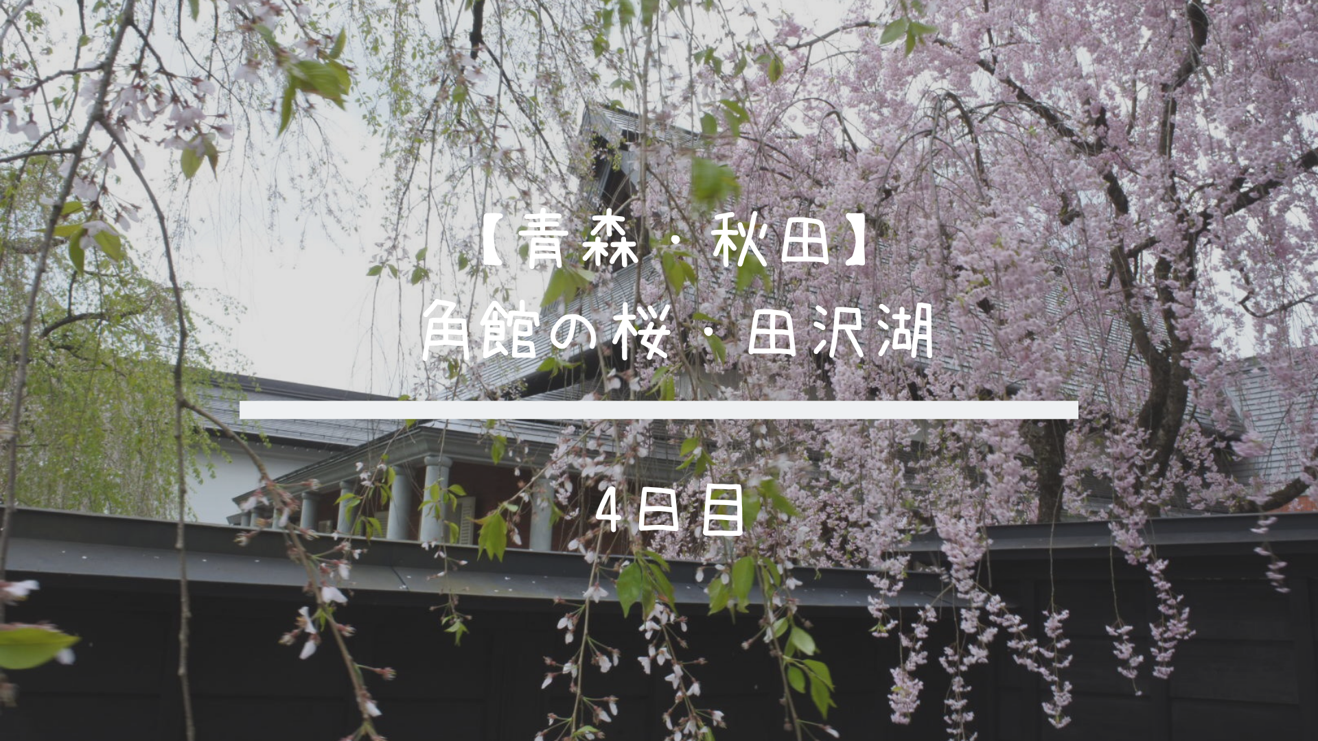 青森 秋田旅行 角館の桜と田沢湖へ行ってきました 19gw 4日目 共働きくま夫婦のブログ