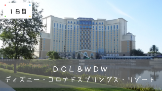 Dcl Wdw 番外編 7泊9日旅行の費用大公開 クルーズとパークでいくら必要 共働きくま夫婦のブログ