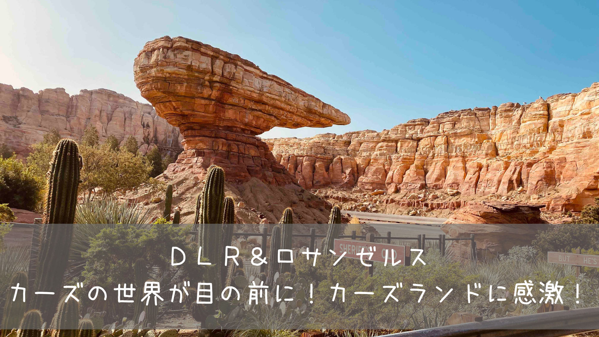 DCL＆WDW-ハリウッド
