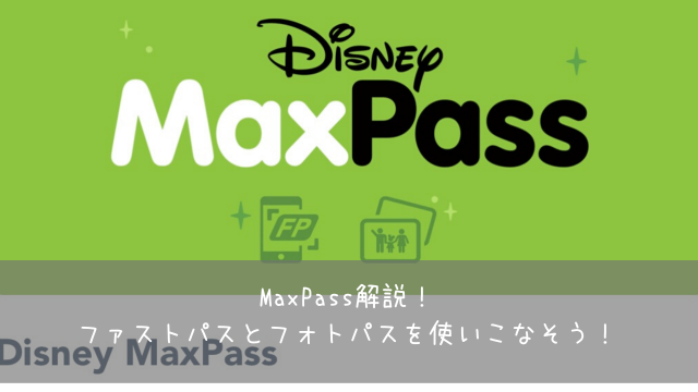 年 東京ディズニー年間パスポートを購入 メリット デメリットを解説 共働きくま夫婦のブログ